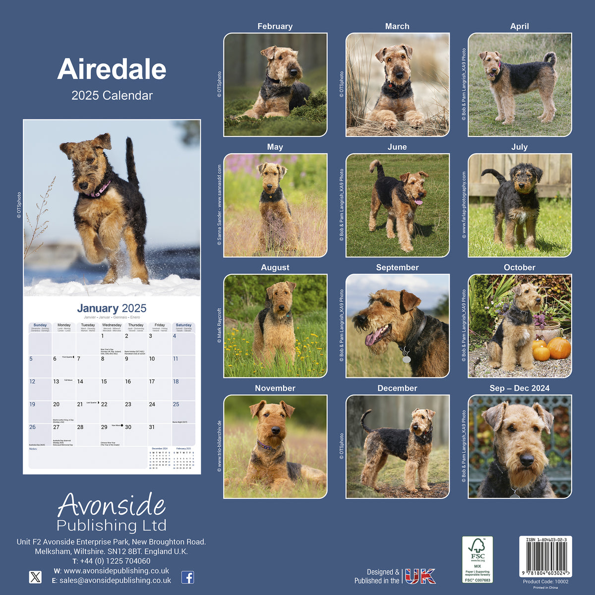 Airedale Calendar 2025 Avonside Publishing Ltd