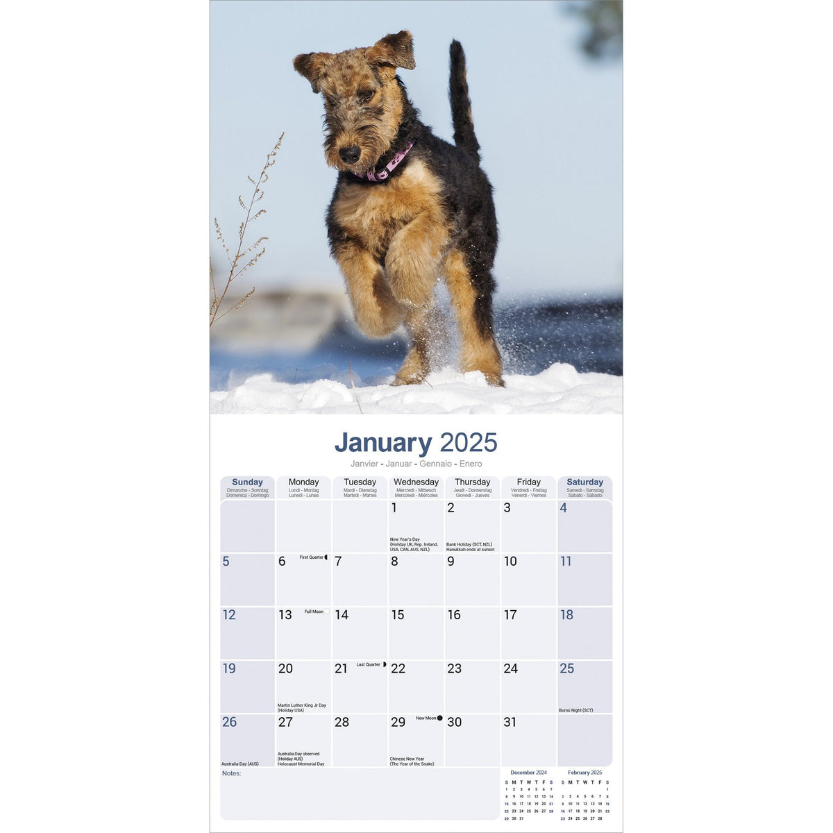Airedale Calendar 2025 Avonside Publishing Ltd