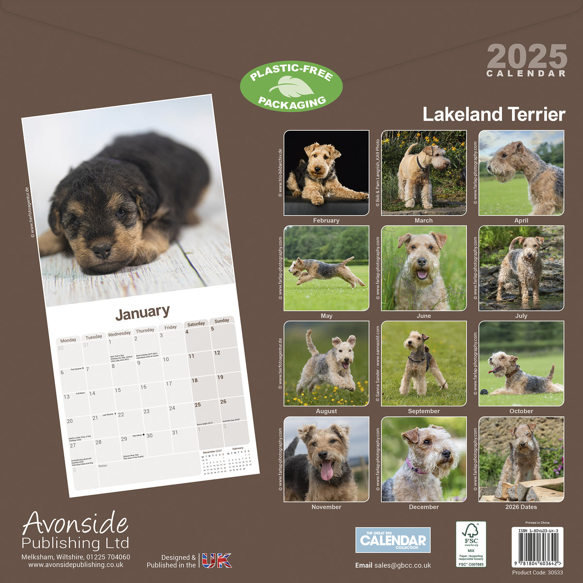 Lakeland Terrier Calendar 2025 Avonside Publishing Ltd