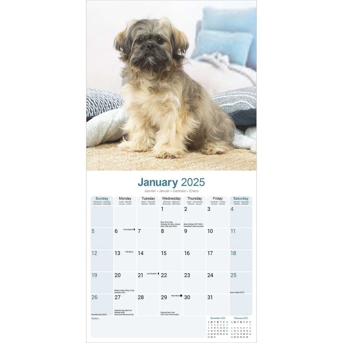 Lhasa Apso Calendar 2025 Avonside Publishing Ltd