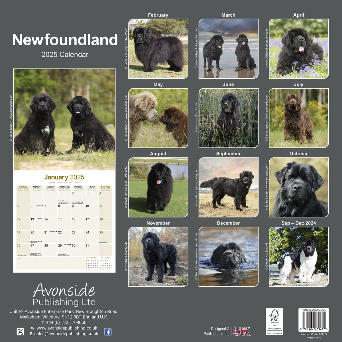 Newfoundland Calendar 2025 Avonside Publishing Ltd