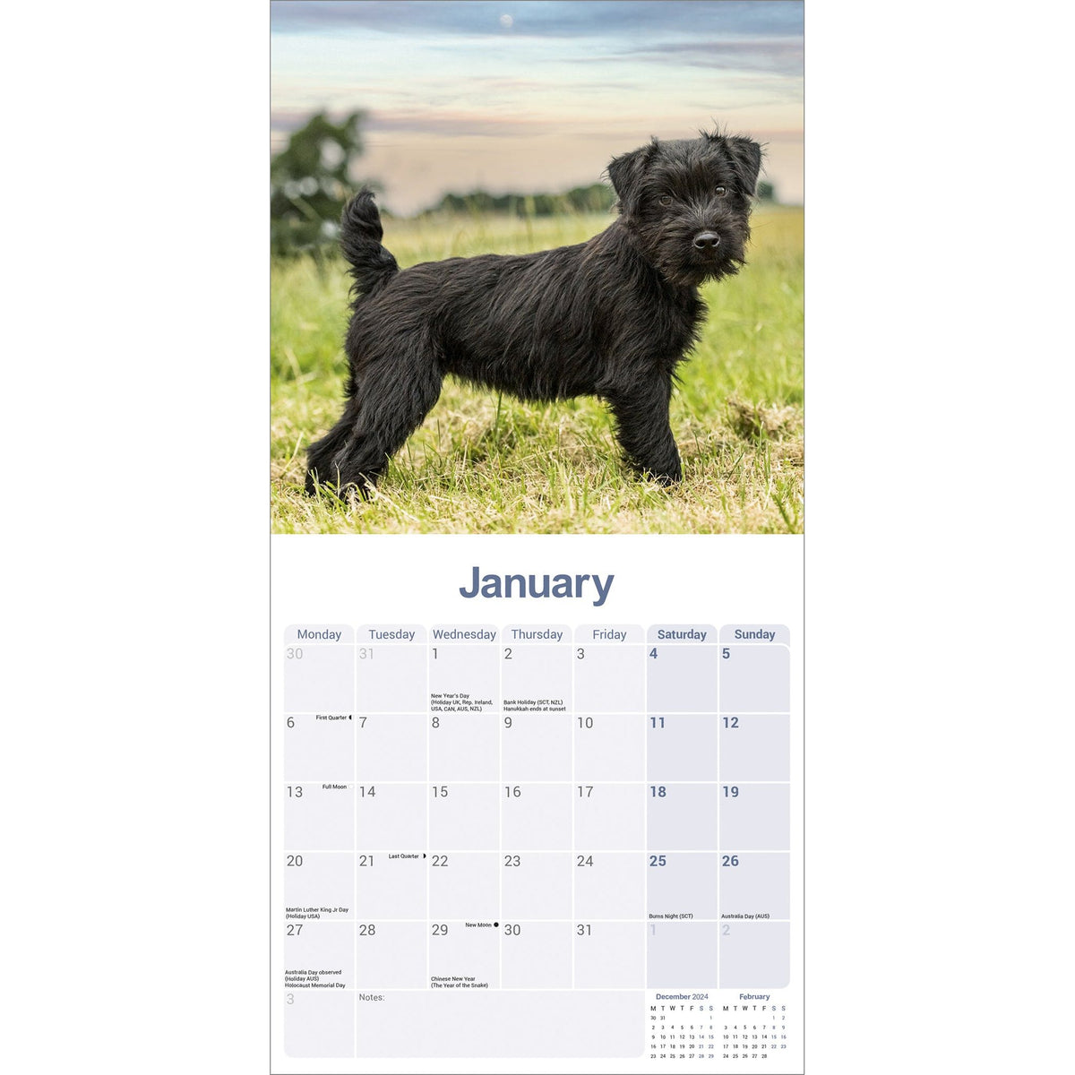 Patterdale Terrier Calendar 2025 Avonside Publishing Ltd