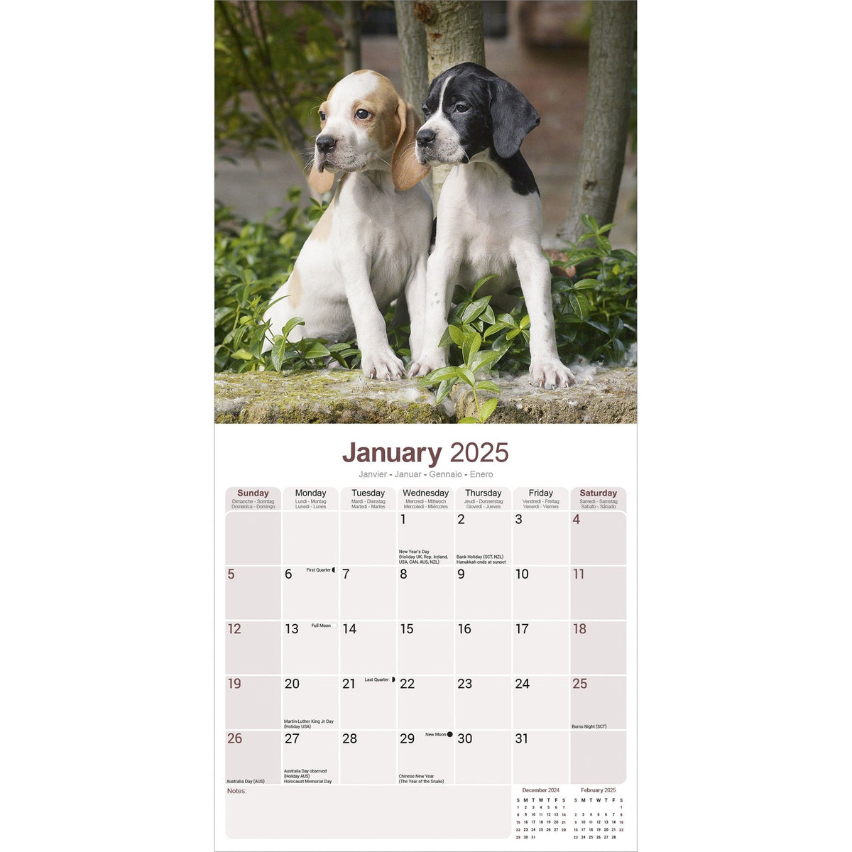 Pointer Calendar 2025 Avonside Publishing Ltd