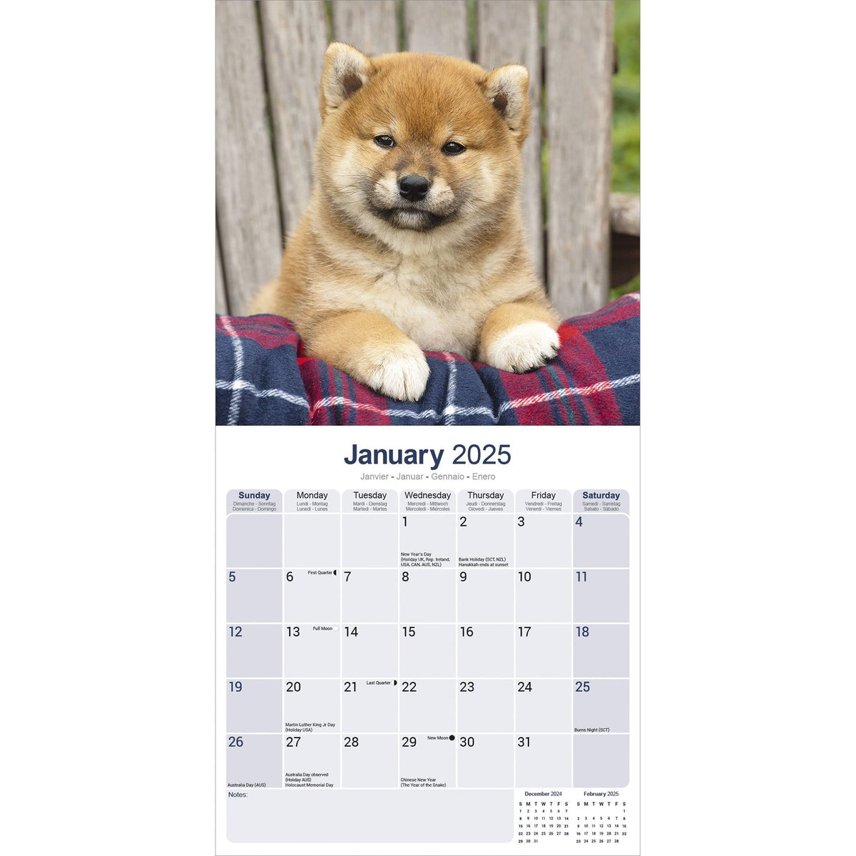 Shiba Inu Calendar 2025 Avonside Publishing Ltd