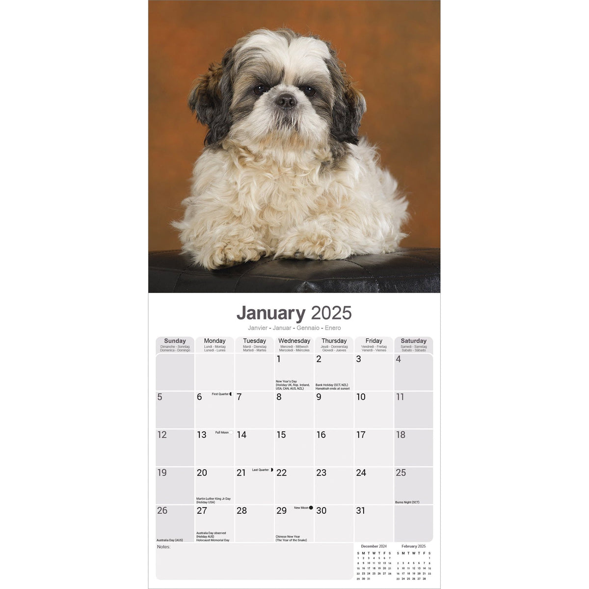 Shih Tzu Calendar 2025 Avonside Publishing Ltd shih-tzu-calendar-2025-avonside-publishing-ltd