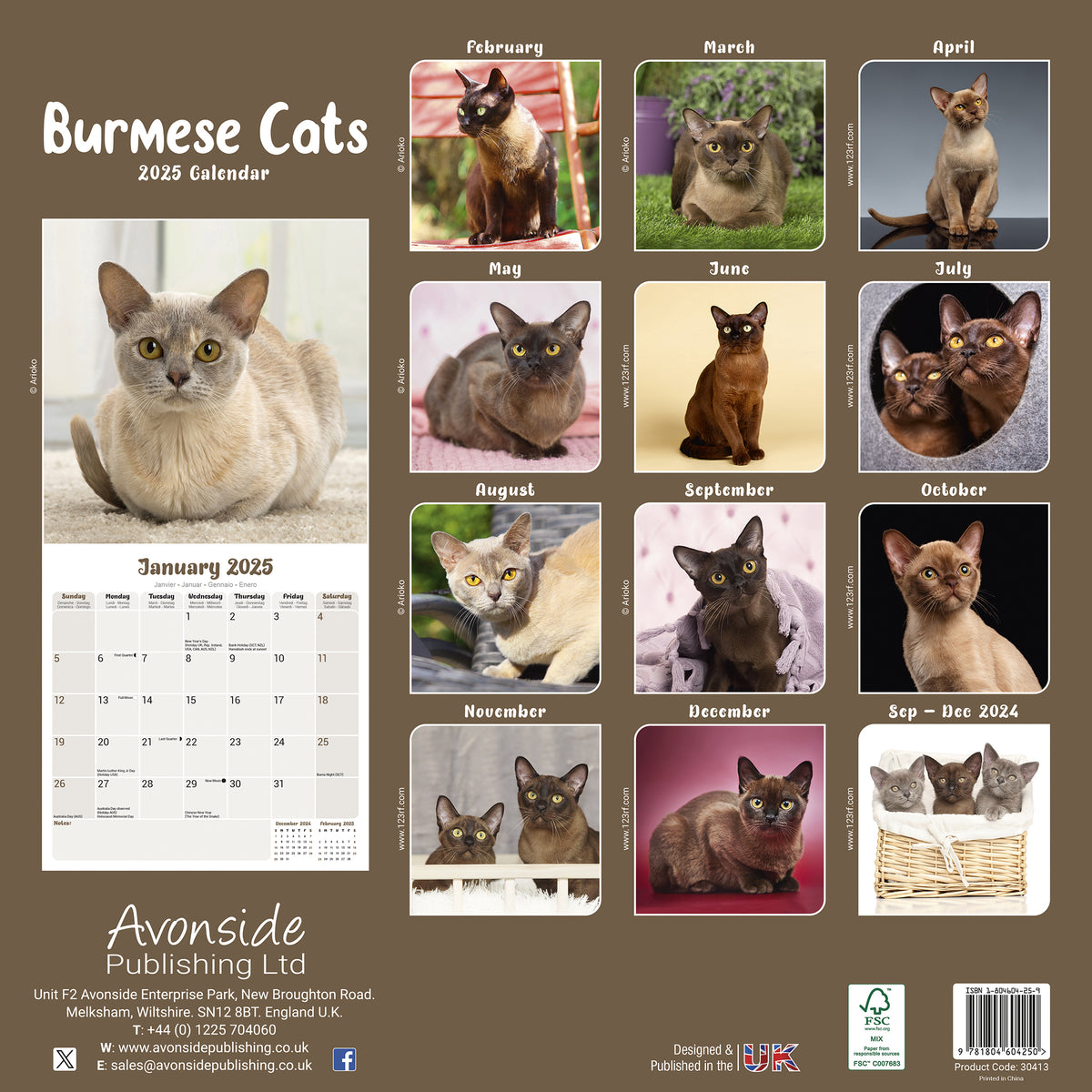 Burmese Cats Calendar 2025 Avonside Publishing Ltd