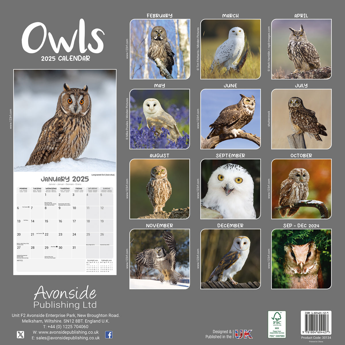 Owls Calendar 2025 Avonside Publishing Ltd