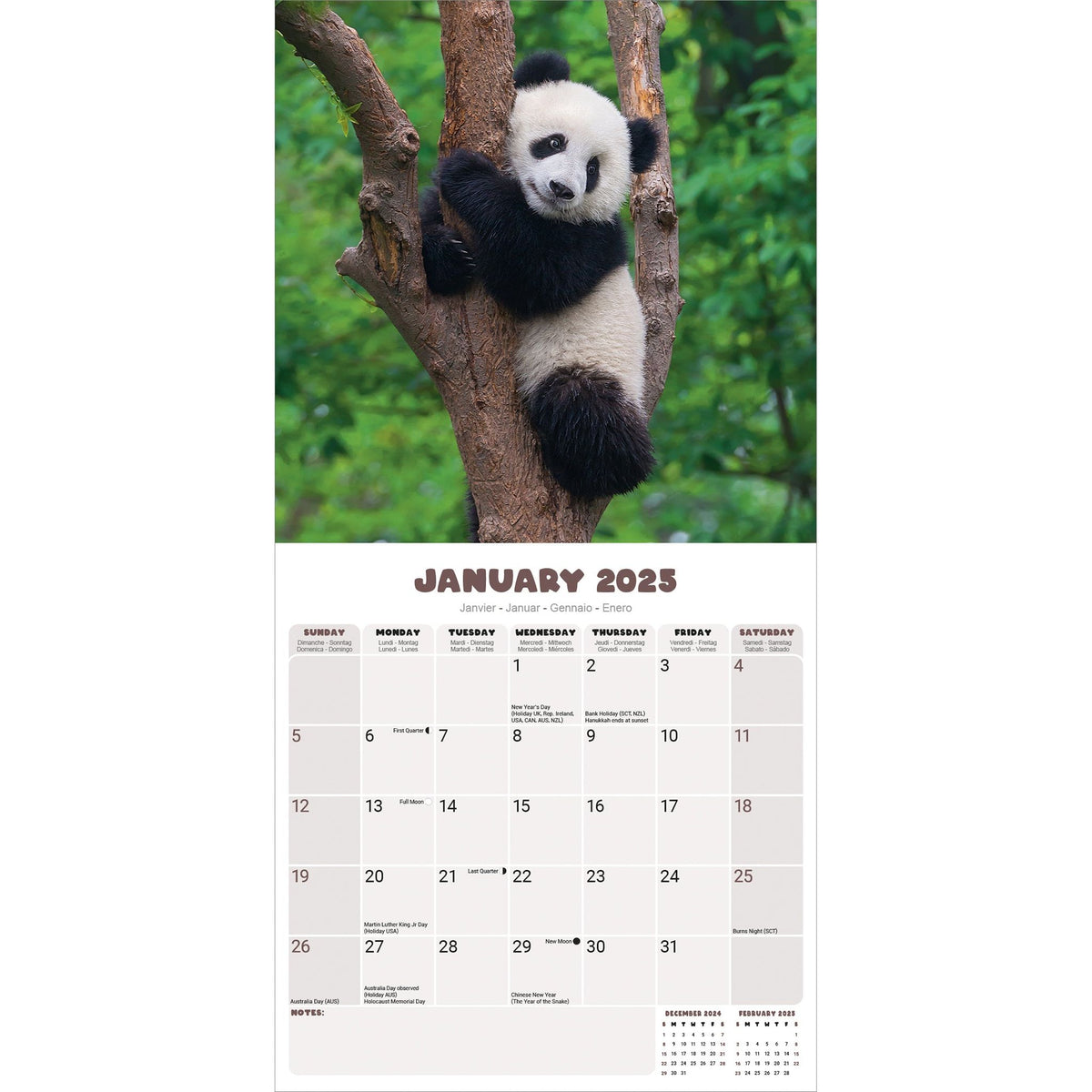 Pandas Calendar 2025 โ Avonside Publishing Ltd