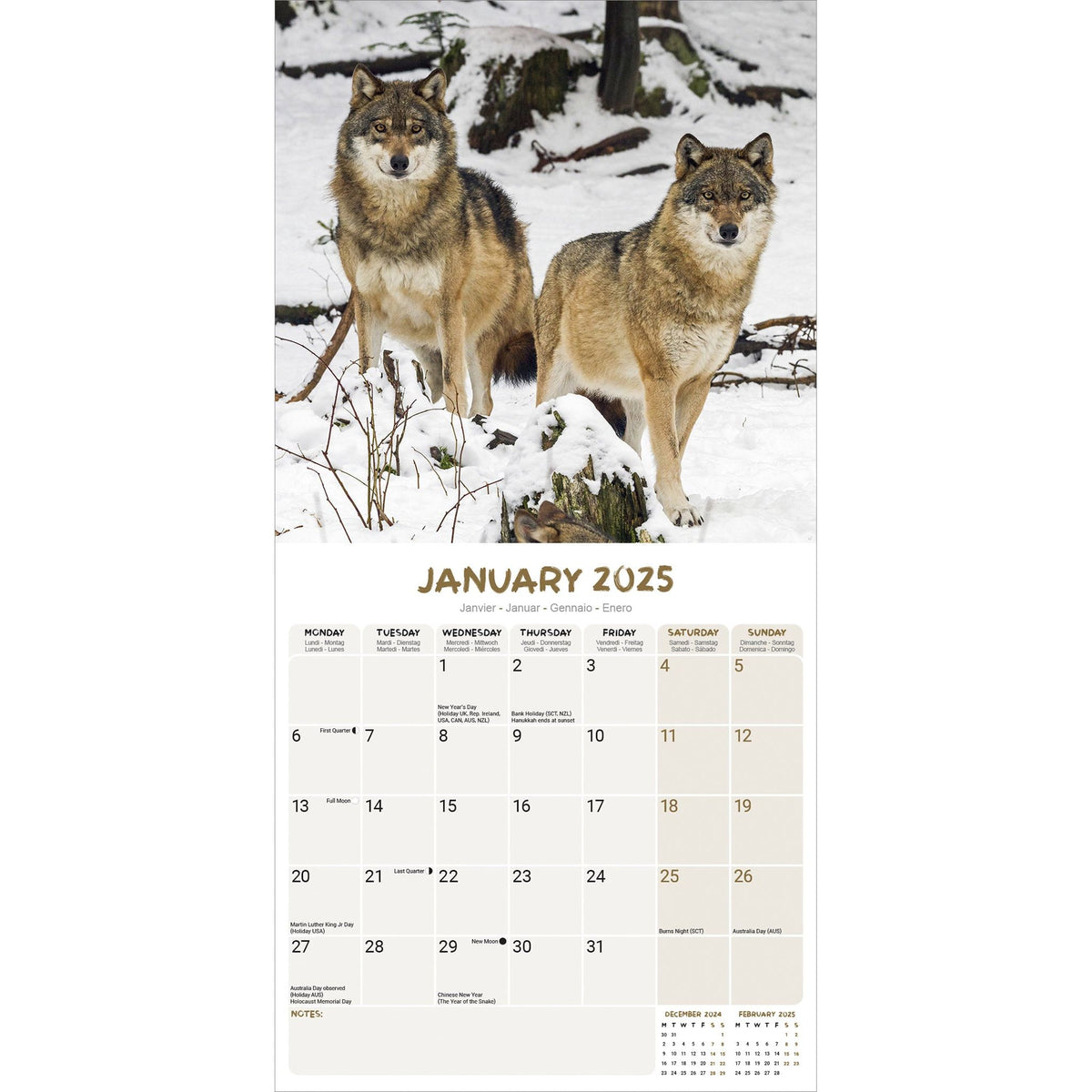 Wolves Calendar 2025 Avonside Publishing Ltd