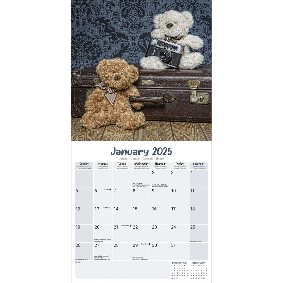 Teddy Bears Calendar 2025 Avonside Publishing Ltd