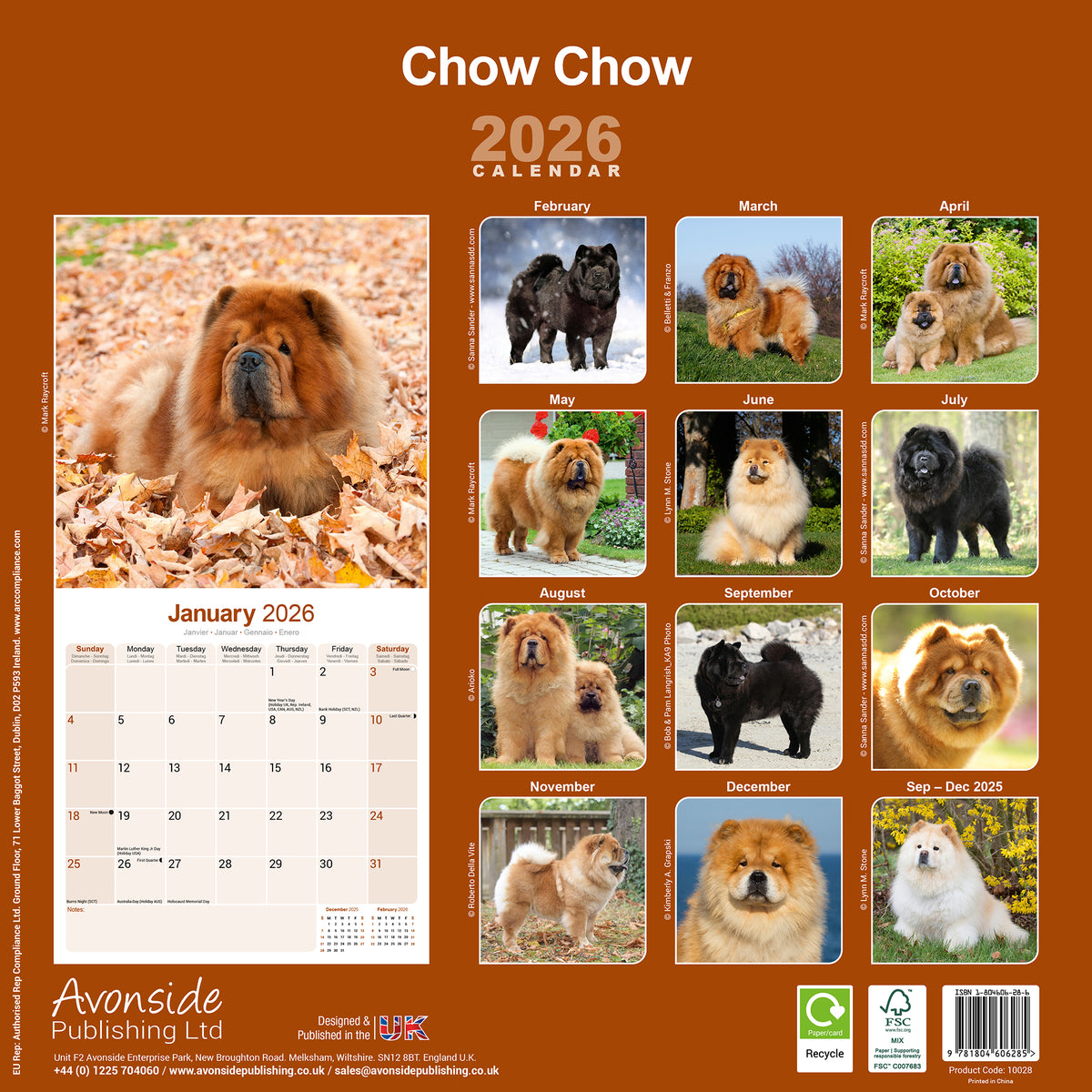 Chow Chow Calendar 2026 Avonside Publishing Ltd