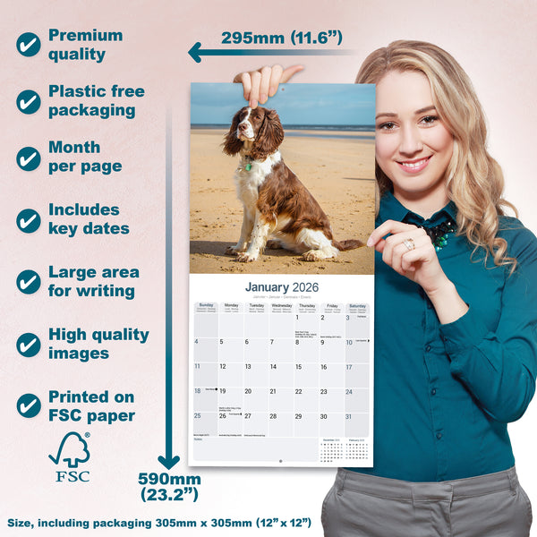 English Springer Spaniel Calendar 2026