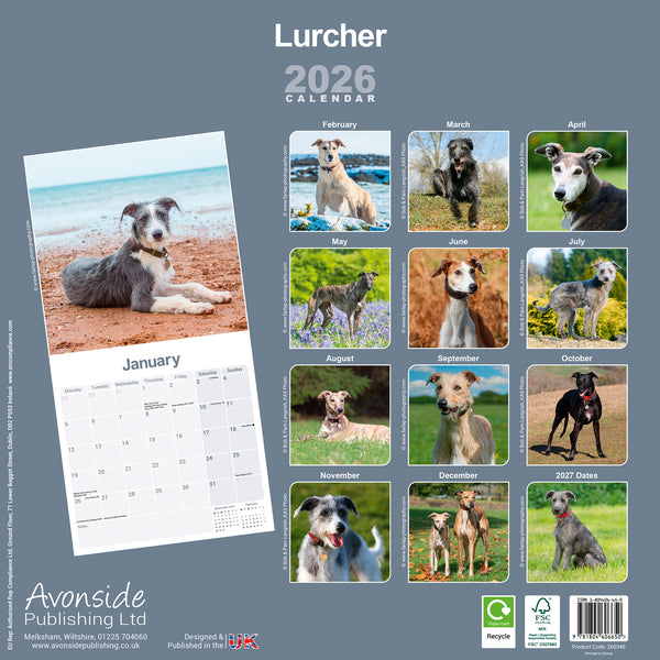 Lurcher Calendar 2026