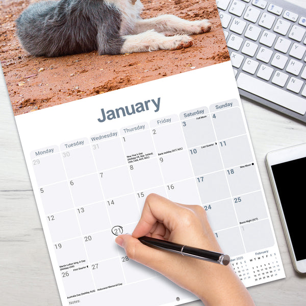 Lurcher Calendar 2026