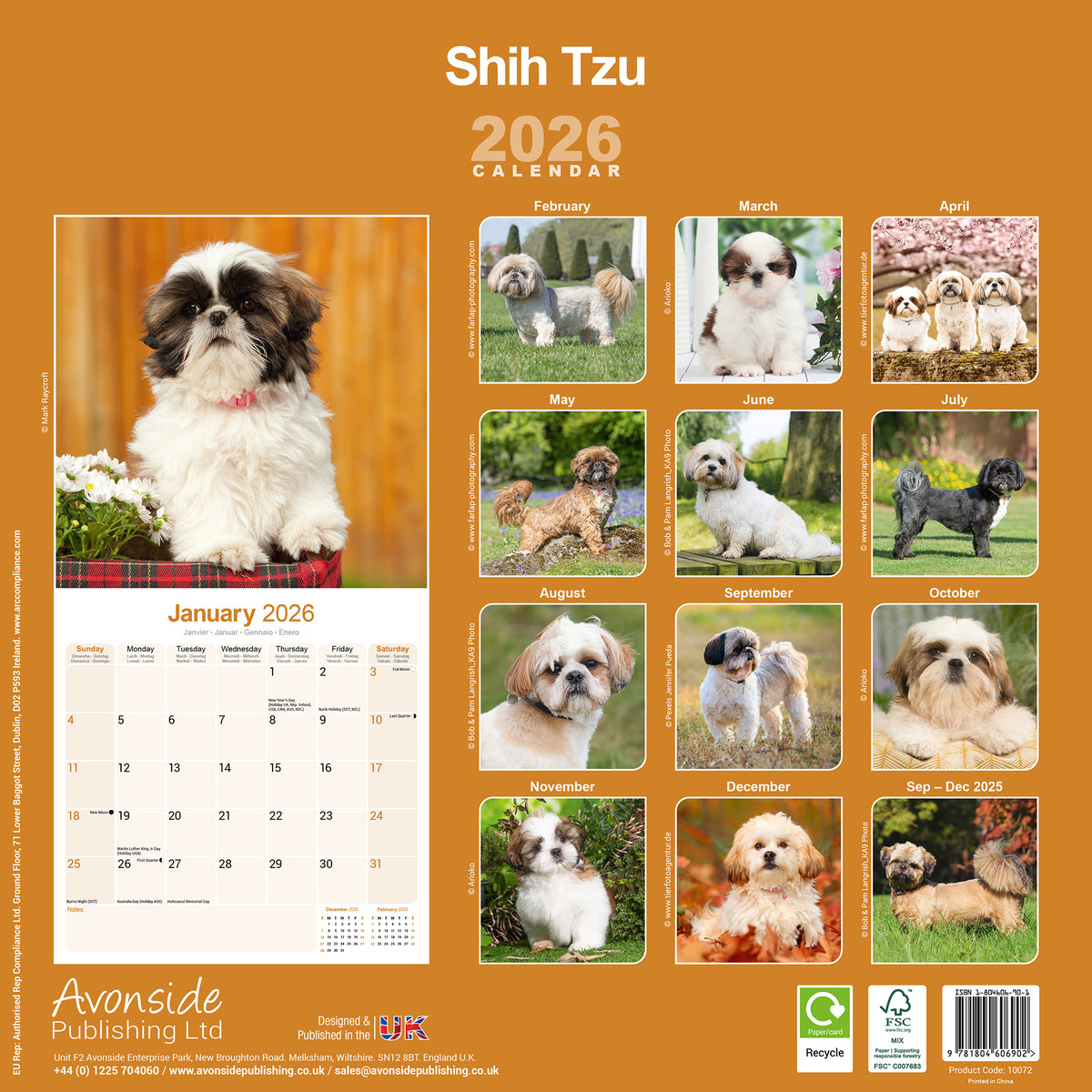 Shih Tzu Calendar 2026 Avonside Publishing Ltd