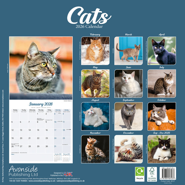 Cats Calendar 2026