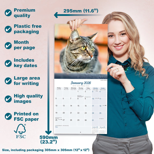 Cats Calendar 2026