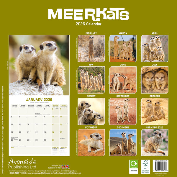 Meerkats Calendar 2026