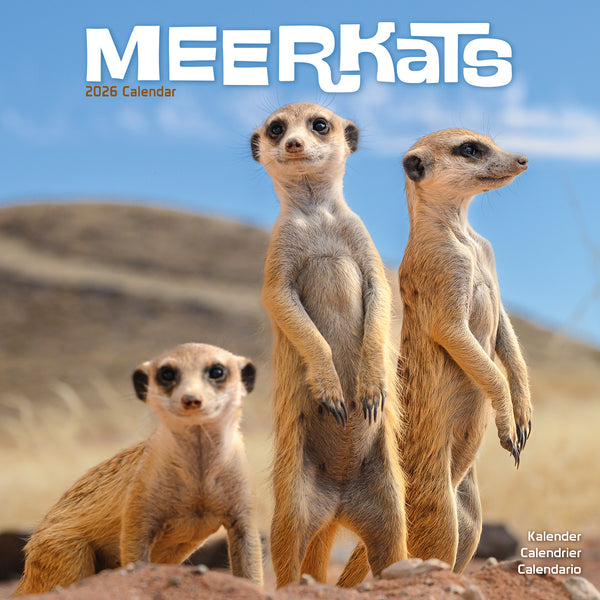 Meerkats Calendar 2026