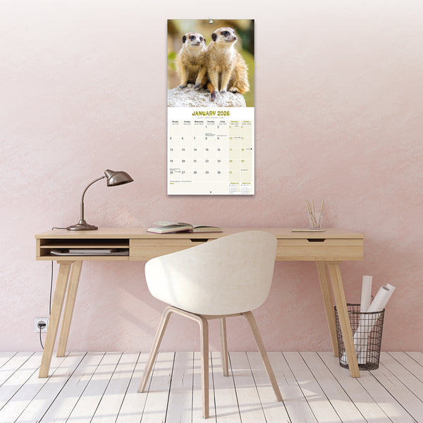 Meerkats Calendar 2026
