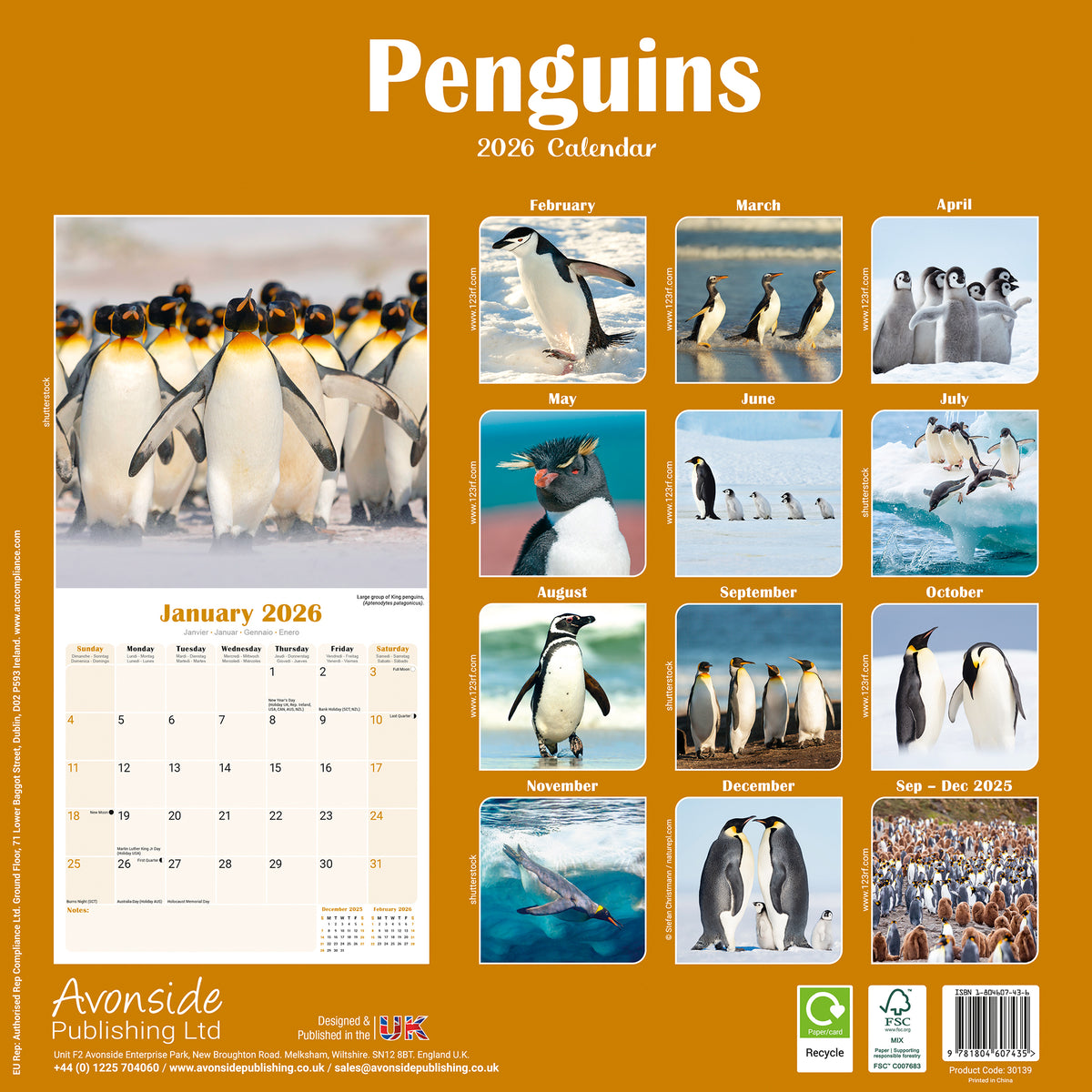 Penguins Calendar 2026 Avonside Publishing Ltd