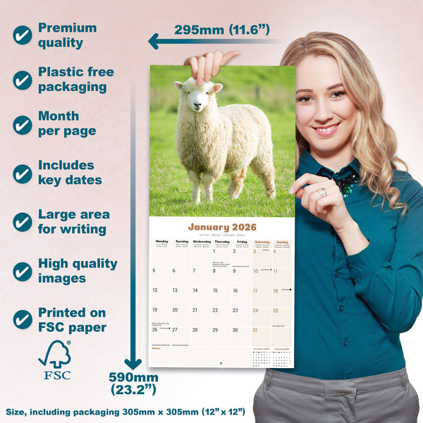 Sheep Calendar 2026