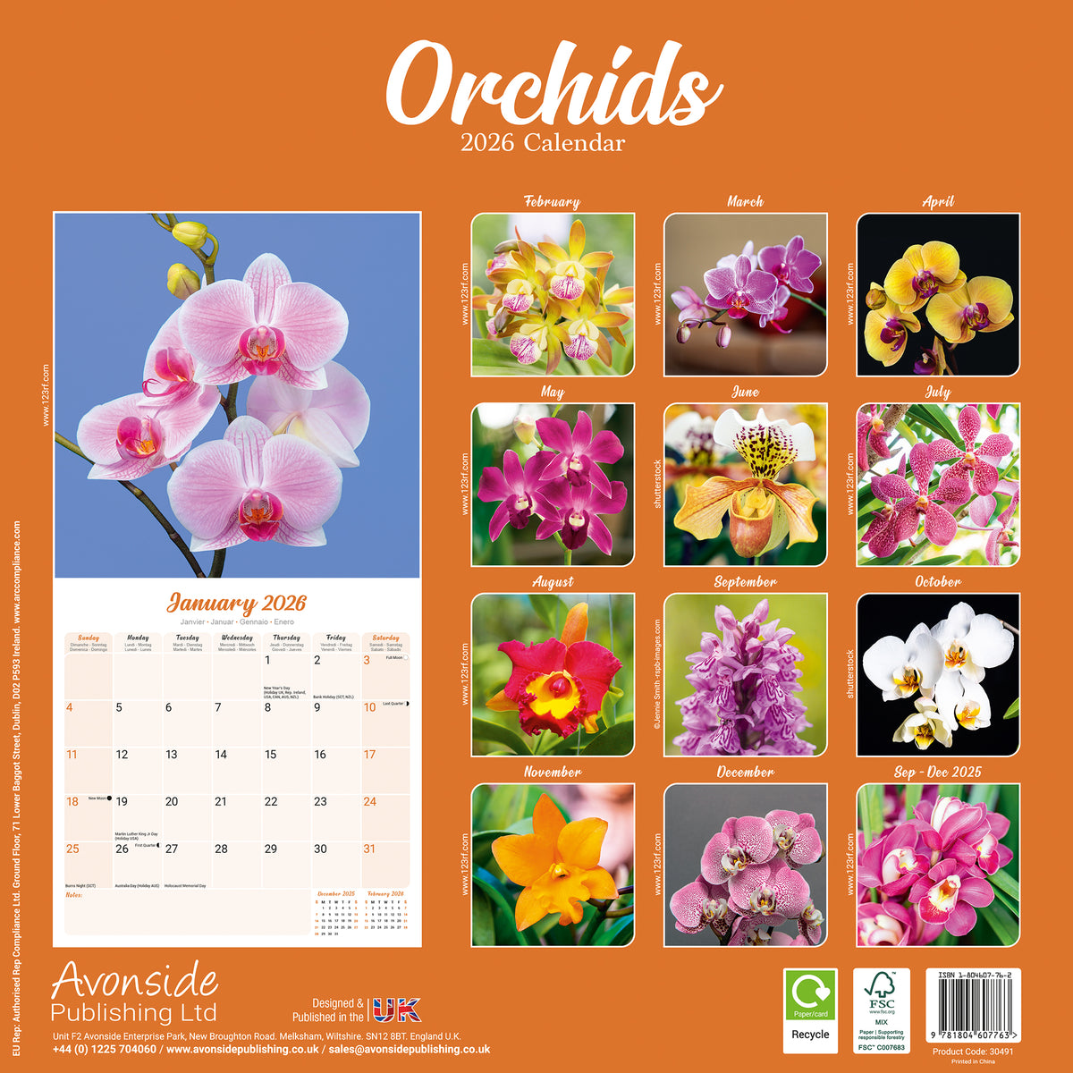 Orchids Calendar 2026 Avonside Publishing Ltd