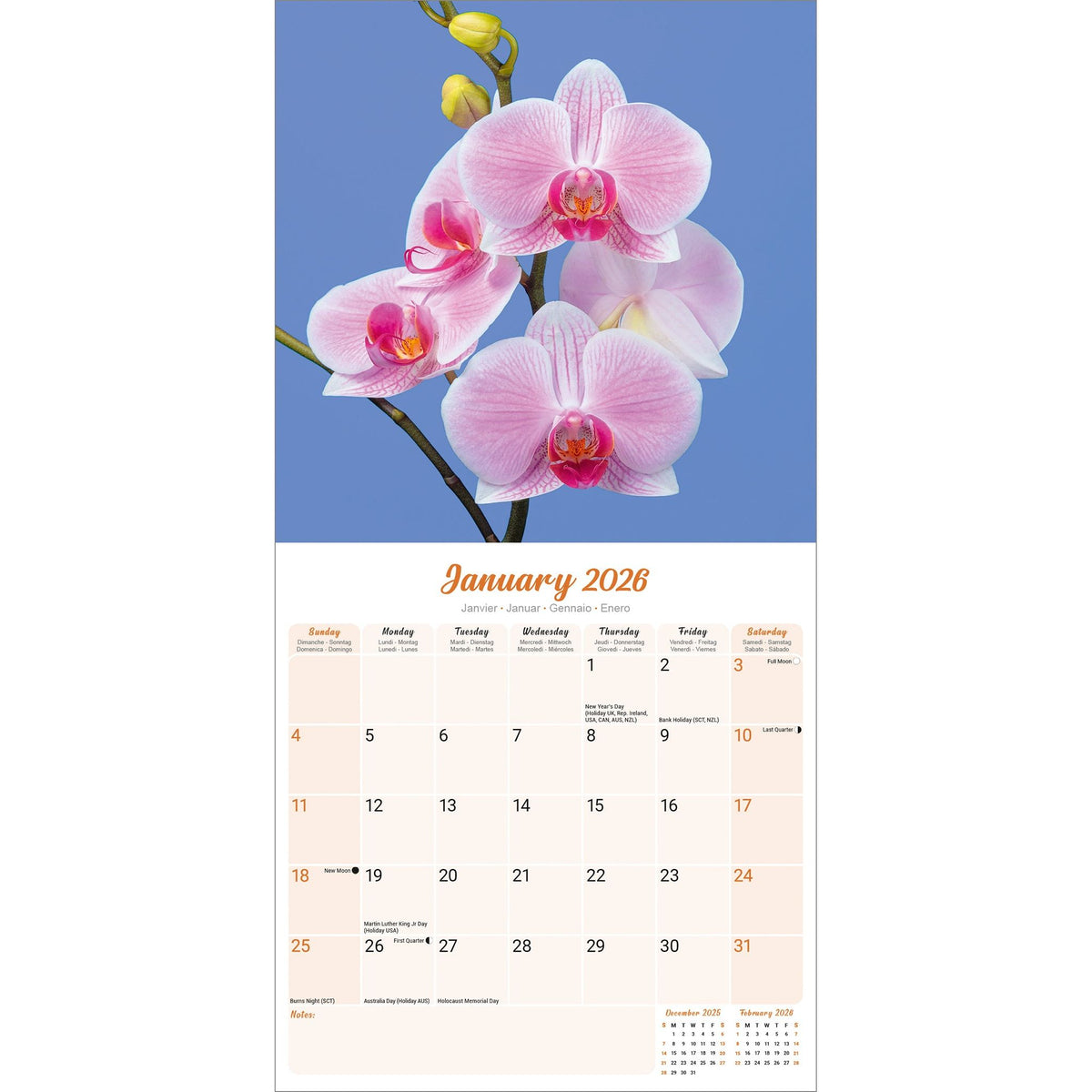 Orchids Calendar 2026 Avonside Publishing Ltd