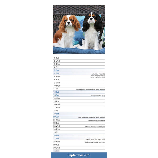 Cavalier King Charles Spaniel Calendar 2026 Slimline