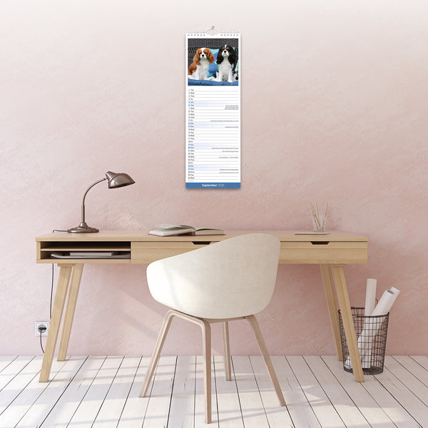 Cavalier King Charles Spaniel Calendar 2026 Slimline