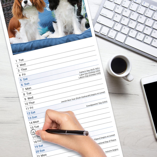 Cavalier King Charles Spaniel Calendar 2026 Slimline