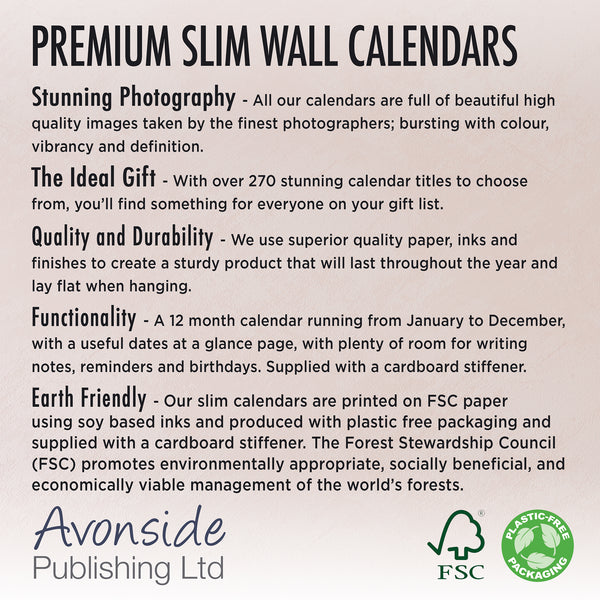 Cavalier King Charles Spaniel Calendar 2026 Slimline