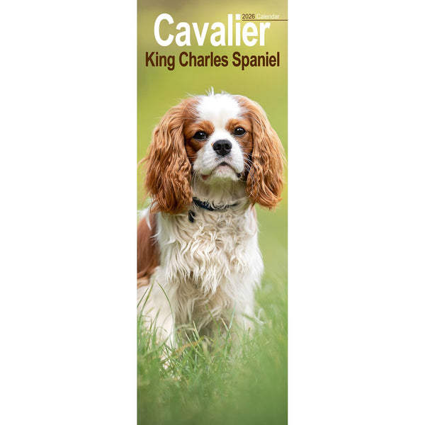 Cavalier King Charles Spaniel Calendar 2026 Slimline