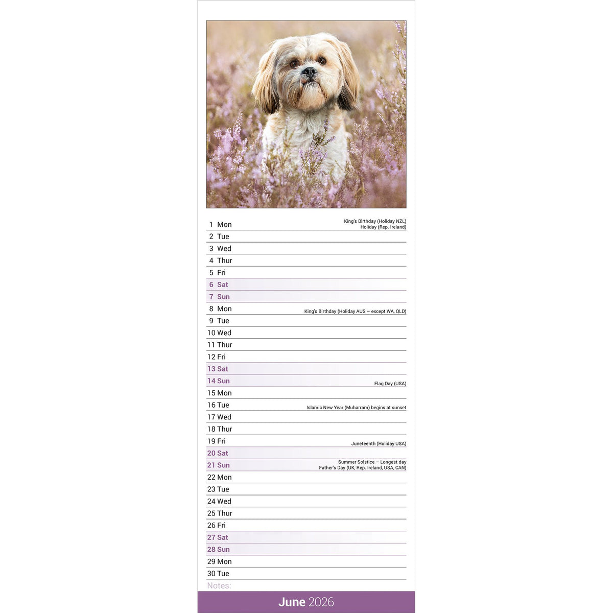 Shih Tzu Calendar 2026 Slimline Avonside Publishing Ltd shih-tzu-calendar-2026-slimline-avonside-publishing-ltd