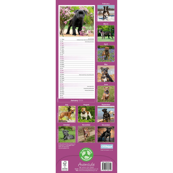 Staffordshire Bull Terrier Calendar 2026 Slimline