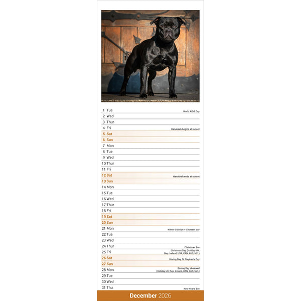 Staffordshire Bull Terrier Calendar 2026 Slimline