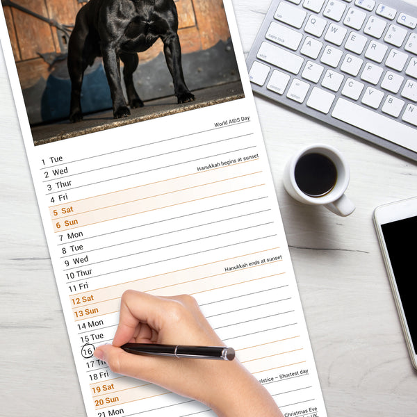 Staffordshire Bull Terrier Calendar 2026 Slimline