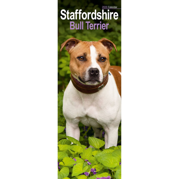 Staffordshire Bull Terrier Calendar 2026 Slimline