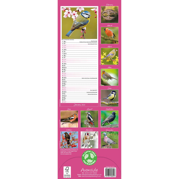 Garden Birds Calendar 2026 Slimline
