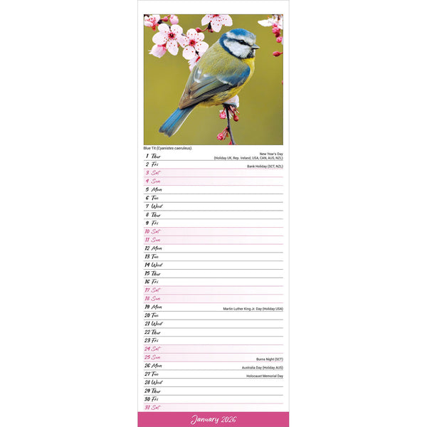 Garden Birds Calendar 2026 Slimline