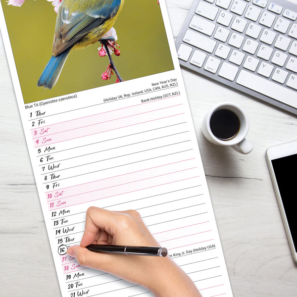 Garden Birds Calendar 2026 Slimline