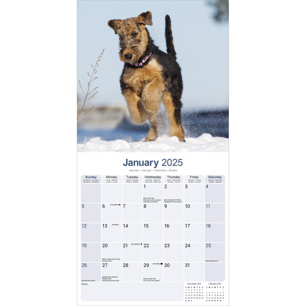 Airedale 2025 Calendar