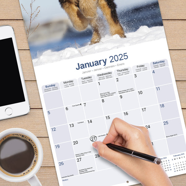 Airedale Calendar 2025