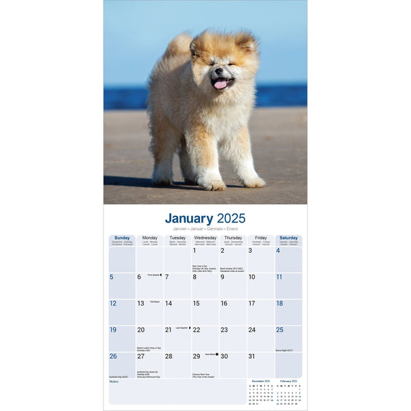 Akita Calendar 2025