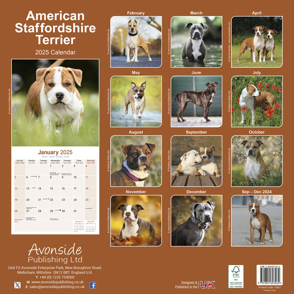 American Staffordshire Terrier Calendar 2025