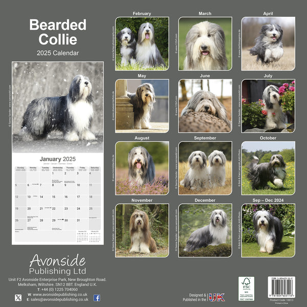 Bearded Collie Calendar 2025