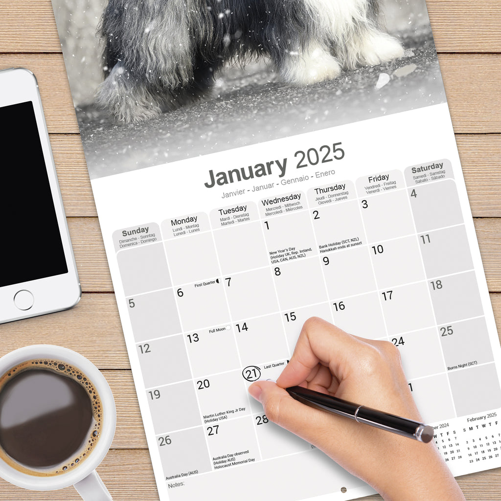 Bearded Collie Calendar 2025 Avonside Publishing Ltd