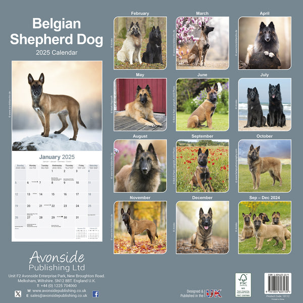 Belgian Shepherd Dog Calendar 2025