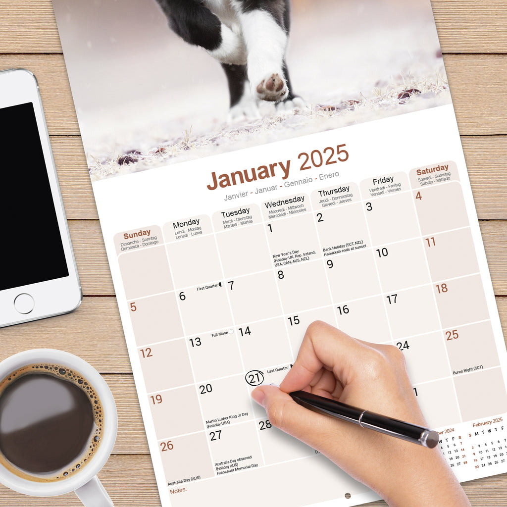 Border Collie Calendar 2025 Avonside Publishing Ltd