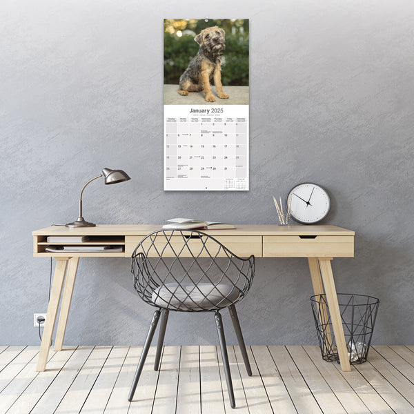 Border Terrier Calendar 2025